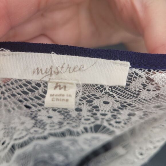 Mystree Anthropologie Sheer Lace Sleeveless Blouse Tank Top Medium‎ Romantic - Picture 5 of 10